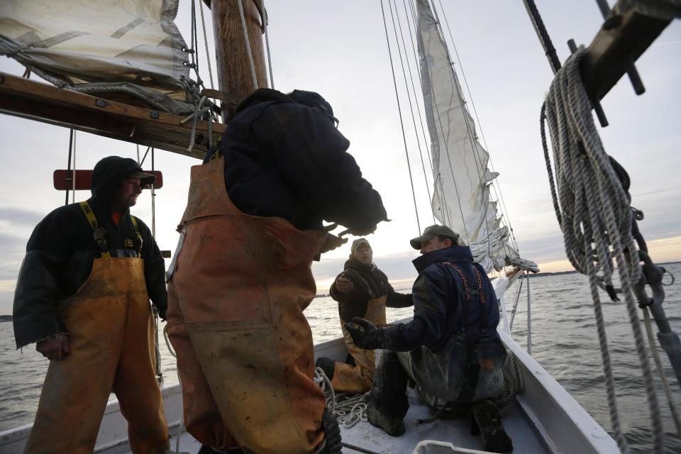 In this Dec. 20, 2013 picture, crew members Danny Benton, from left, Shawn Sturgis, Ted Williams Daniels and Kurt Pittman prepare the skipjack Hilda M. Willing for a day of oyster dredging in Tangier Sound near Deal Island, Md. (AP Photo/Patrick Semansky)