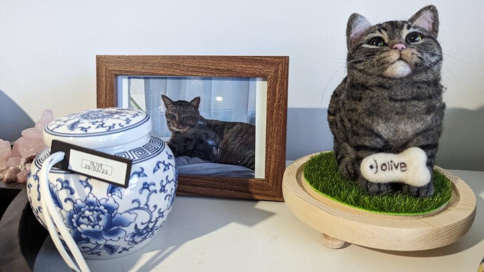 A picture of an urn with cat's ashes, a picture of a cat and a handmade doll.