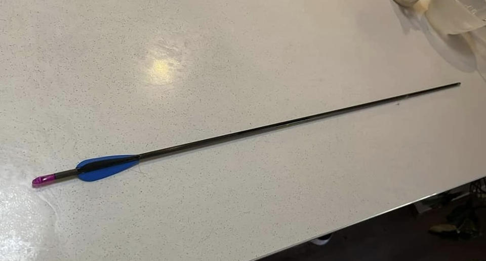 Arrow with blue tip. 