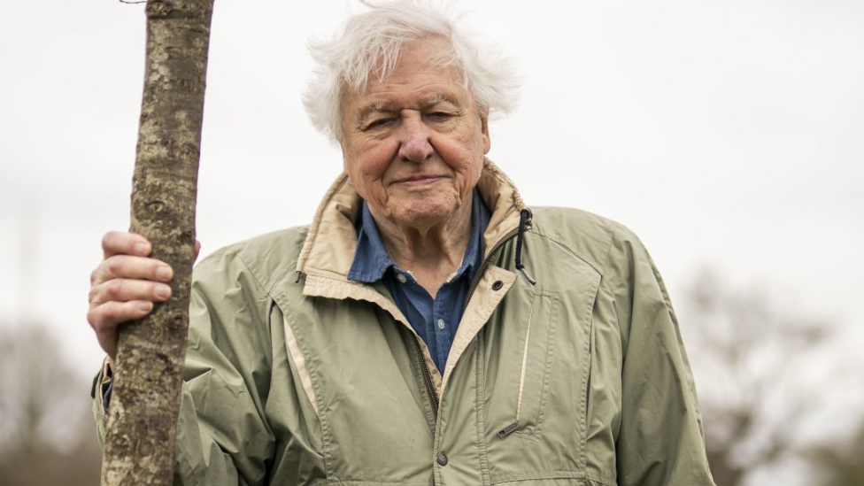 Sir David Attenborough