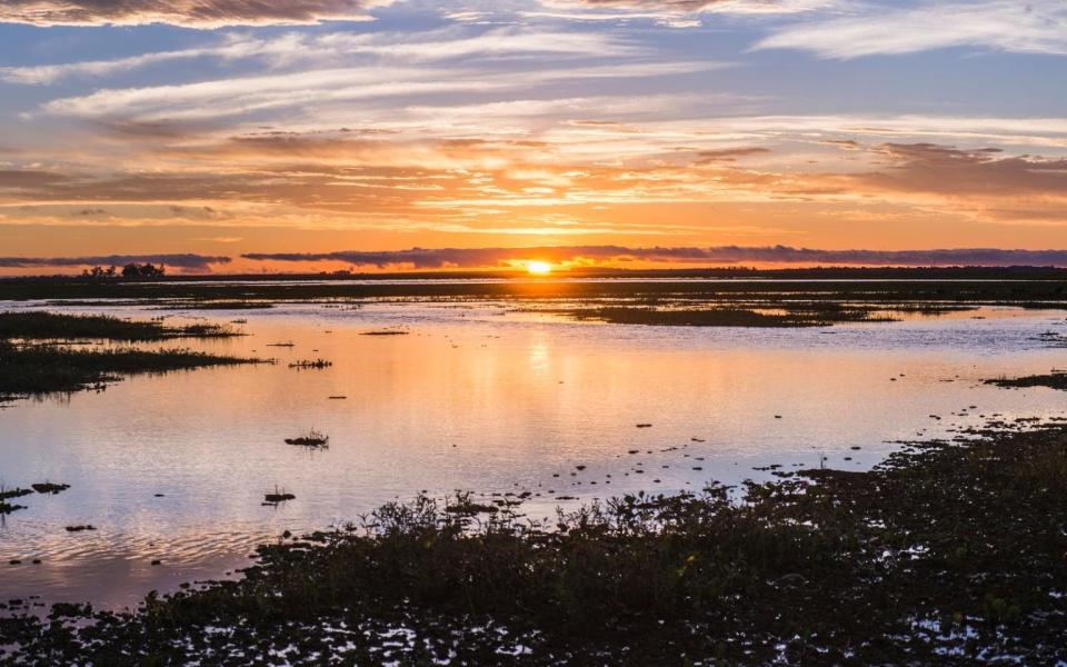 The Ibera wetlands - Getty