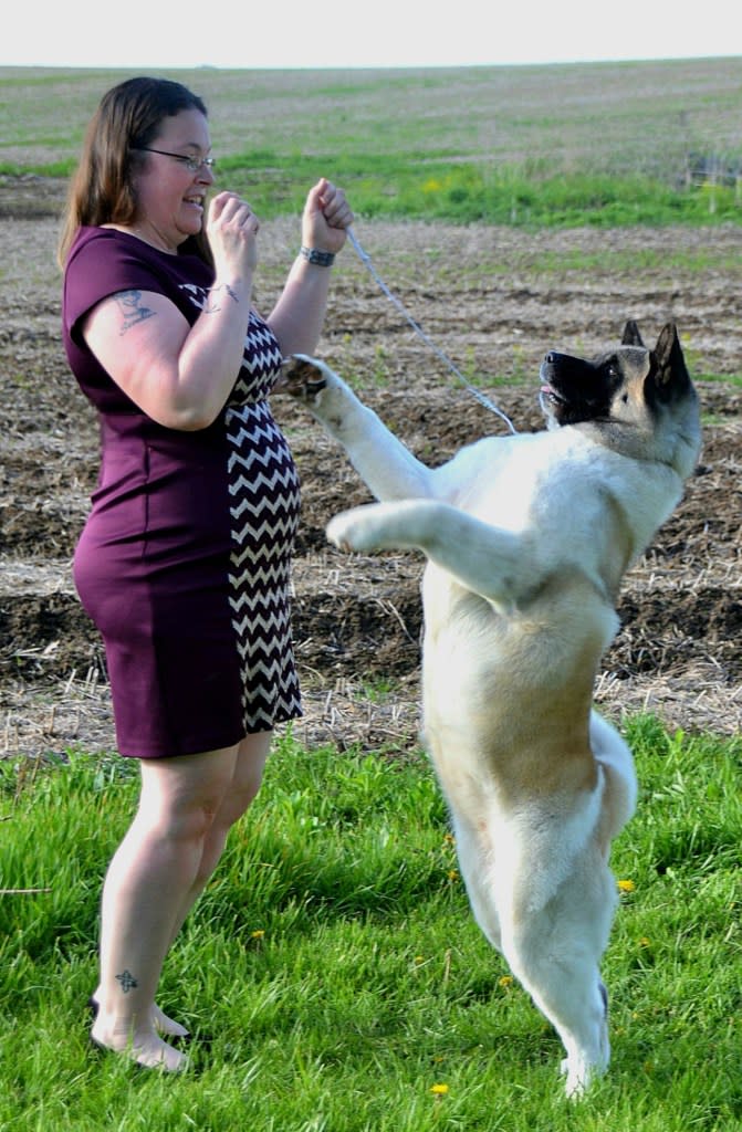 “It’s a lot of work. It’s a lot of pressure. It’s so much stress and anxiety,” Jamie Goodrich said about preparing her pooch for the big event. Courtesy of Jamie Goodrich