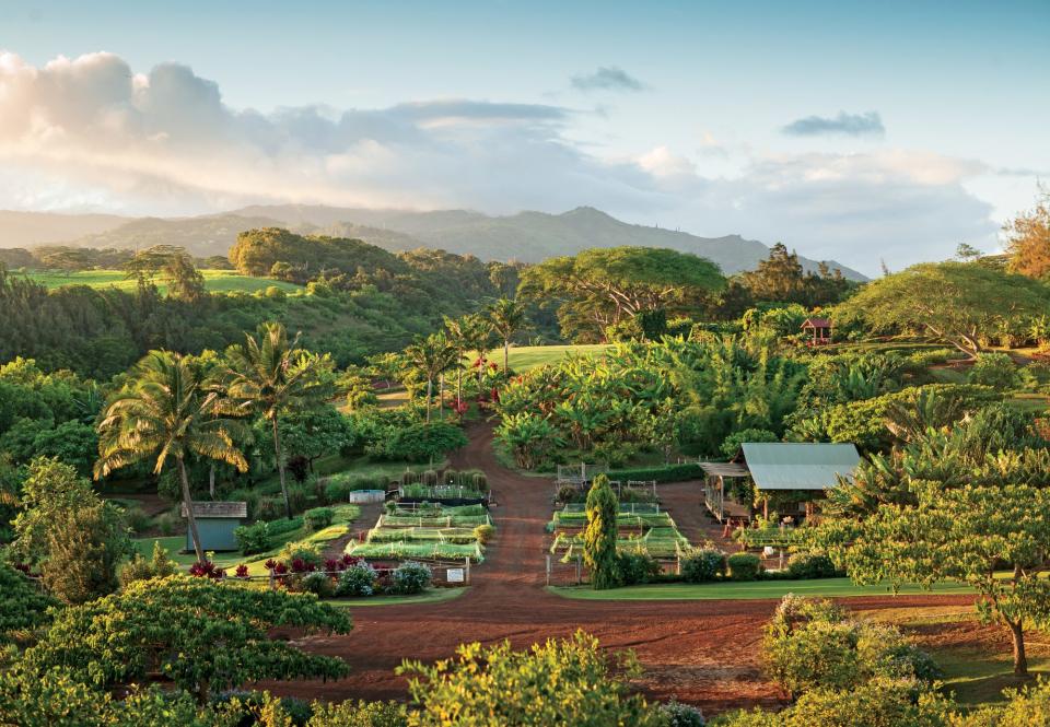 Kukui'ula, Kauai, Hawaii