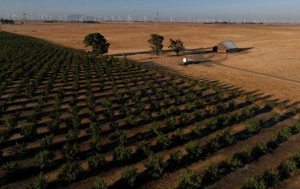 Cultivos en el condado de Solano, California, Estados Unidos, en septiembre de 2023.