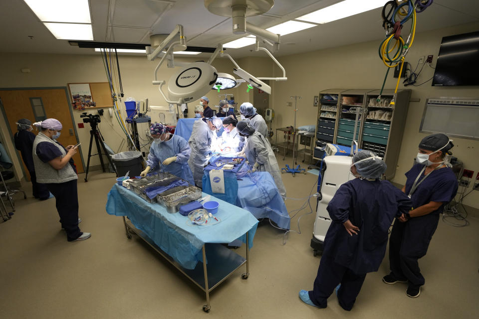 An organ recovery team works to remove the liver and kidneys from a donor June 15, 2023, in Jackson, Tenn. Only about 1% of deaths occur in a way that qualifies someone to even be considered for donations, and hospitals must alert agencies fast enough to evaluate candidates and approach families. (AP Photo/Mark Humphrey)