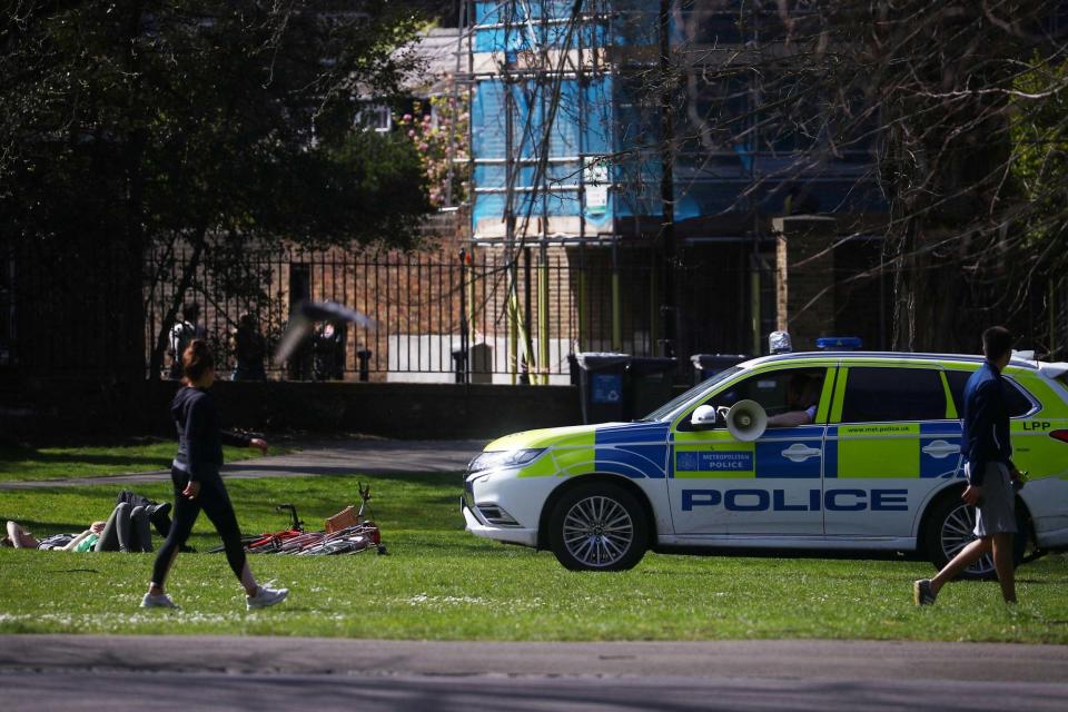A police car is seen in Greenwich Park during the UK lockdown (REUTERS)