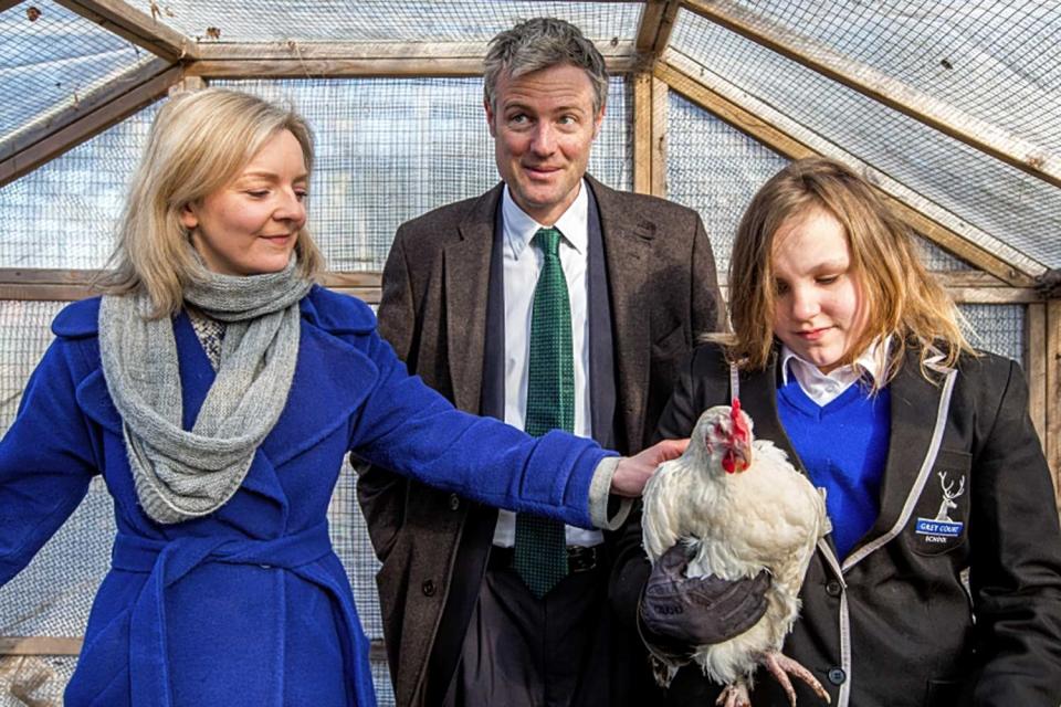 Great outdoors: Zac Goldsmith gets to grips with a chicken at Grey Court School in Richmond with Environment Secretary Liz Truss: Alex Lentati