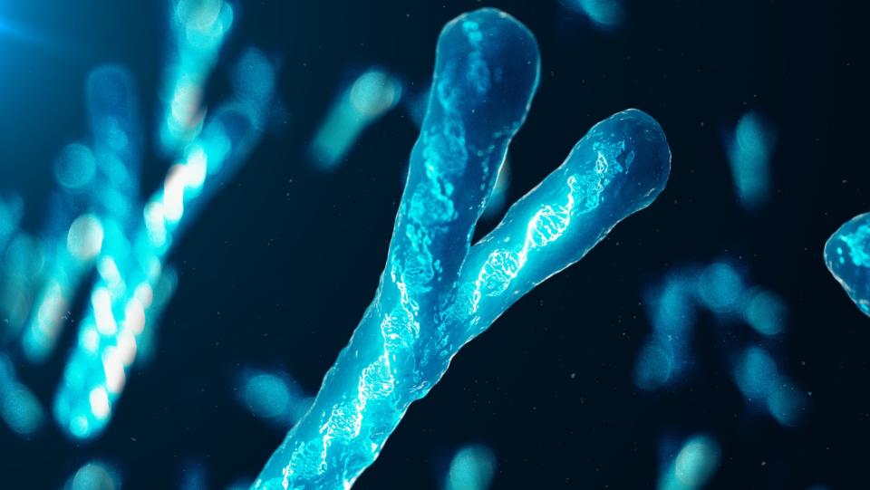 graphic of a blue Y chromosome