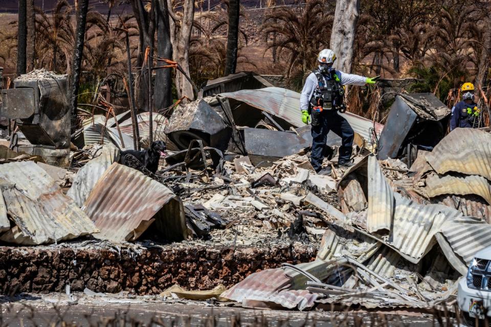 Combined Joint Task Force 50 (CJTF-50) search, rescue and recovery personnel conduct search operations of areas damaged by Maui wildfires in Lahaina, Hawaii, U.S. August 15, 2023.       