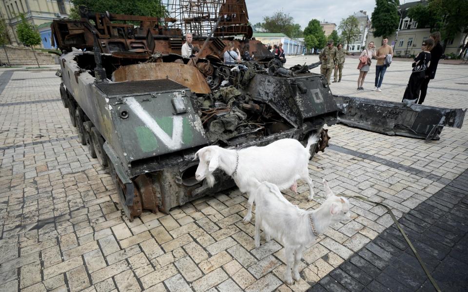 tank - Christopher Furlong /Getty Images Europe 