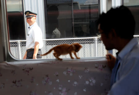 A rail staff member looks at the train cat cafe, held on a local train to bring awareness to the culling of stray cats, in Ogaki, Gifu Prefecture, Japan September 10, 2017. REUTERS/Kim Kyung-Hoon