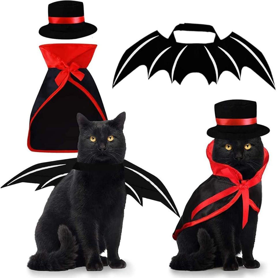 Disfraces para mascotas, disfraz de gato, 3 piezas, capa de vampiro con sombrero de bolo, alas de murciélago/Amazon.com.mx