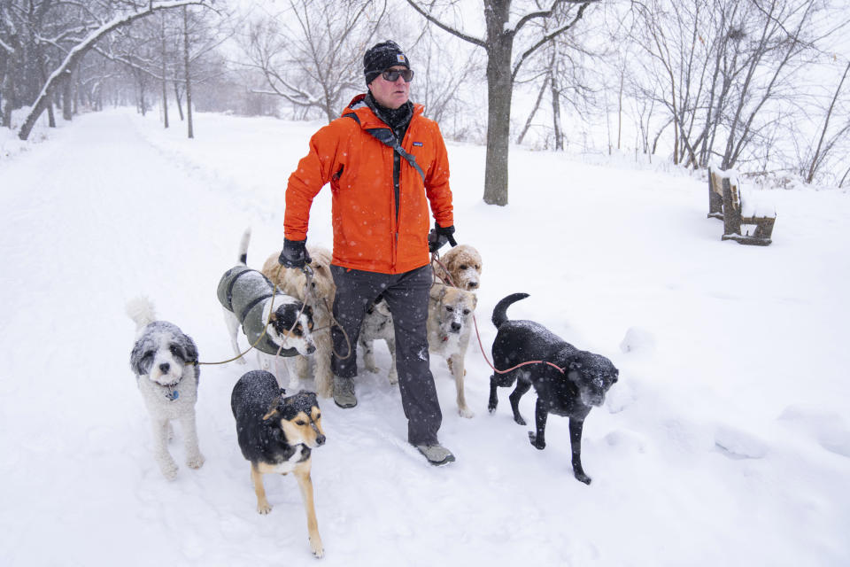 Curtis Johnson, a dog walker for Citizen Kanine, walks eight dogs Wednesday, Dec. 21, 2022 around Lake Harriet in Minneapolis. (Alex Kormann /Star Tribune via AP)