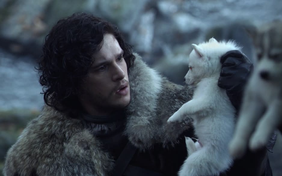 Kit Harrington, as Jon Snow, with his direwolf  - HBO