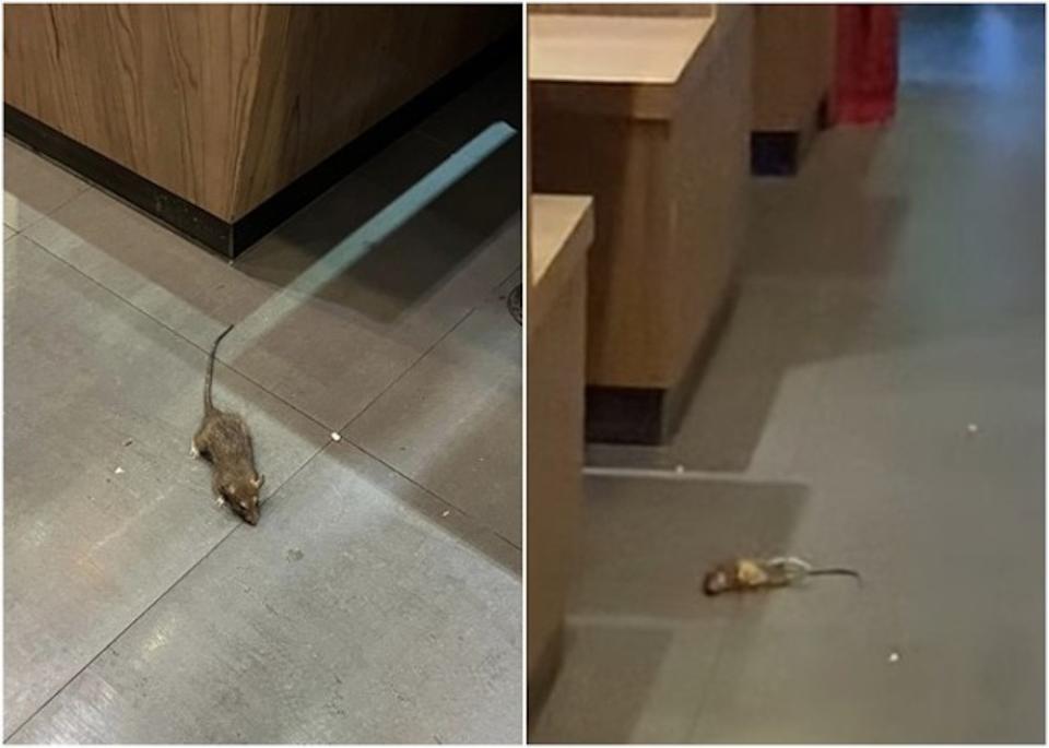 老鼠由冷氣機從天而降，其後被店員一腳踢走。

