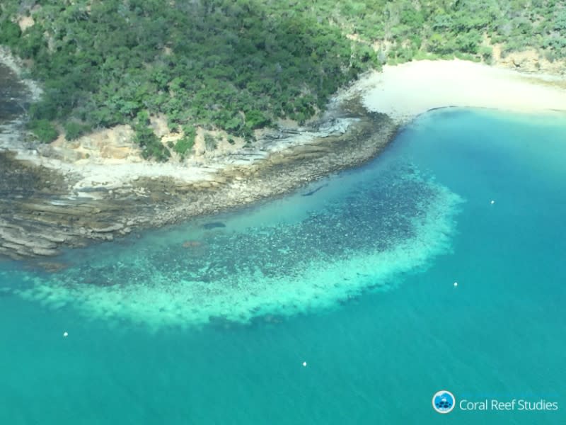 An aerial view shows bleached and unbleached corals at the Great Barrier Reef in Australia