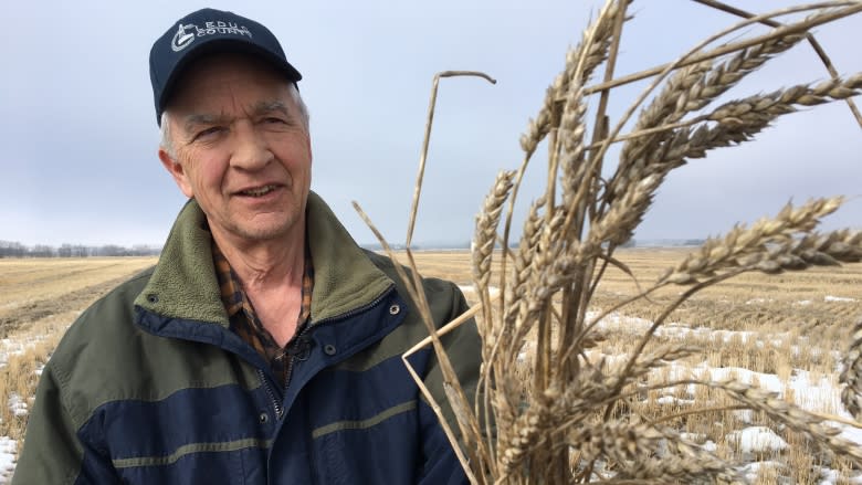 Farmers prepare to burn crops in Leduc County after fall harvest halted