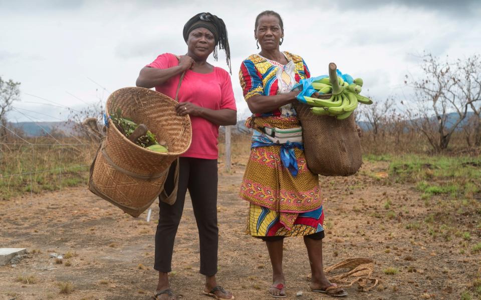 Chanto Debako, 55 (pink top and Marie Christine 58 with their daily harvests of crops and in their Manyok plantation, which is all protected by the electric elephant fence - David Rose 