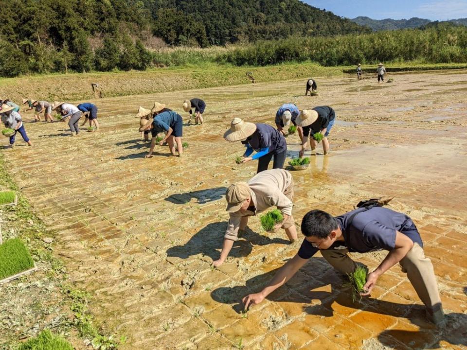 宜蘭里山農村生態小旅行的雙連埤友善田區手插秧，四代共作共學。（宜縣府提供）