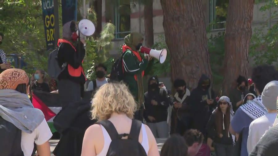 UCLA Protest