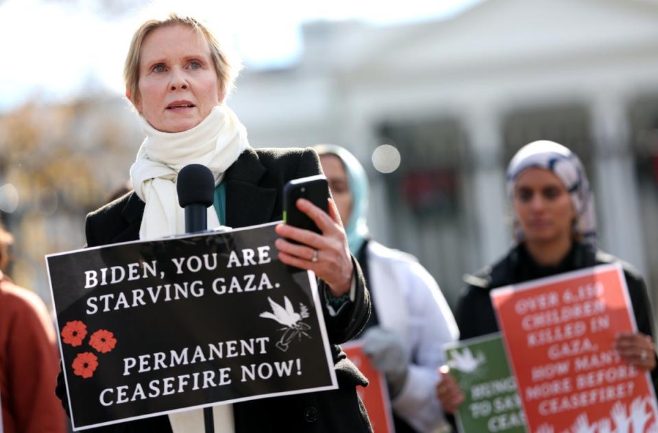 Cynthia Nixon is calling for a permanent ceasefire (Getty Images)