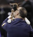 <p>Handler Diego Garcia lifts up boxer Devlin after she won the working group competition during the 141st Westminster Kennel Club Dog Show, Tuesday, Feb. 14, 2017, in New York. (AP Photo/Julie Jacobson) </p>