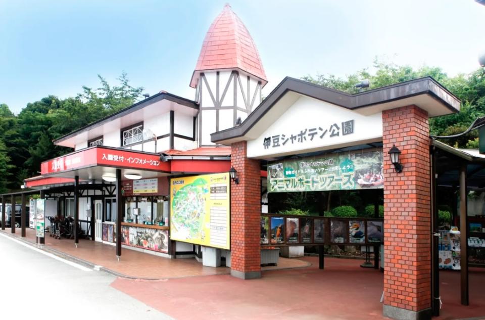 日本旅遊｜水豚露天溫泉開催！每人$137入場睇水豚浸柚子湯、與逾140種動物近距離接觸