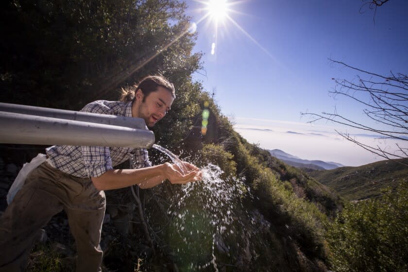 Rimforest, CA - December 04: Activist Bridger Zadina cups his hands to drink from spring water pouring from a pipe beside a water collection tunnel in the San Bernardino National Forest. The water that is collected at this and other sites in the mountains flows through a network of pipelines above Strawberry Creek. Some of the water is trucked to a plant to be sold as Arrowhead brand bottled water. Photos taken in San Bernardino National Forest on Saturday, Dec. 4, 2021, near Rimforest, CA. (Allen J. Schaben / Los Angeles Times)