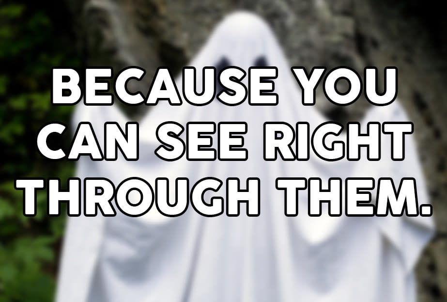 "Because you can see right through them."