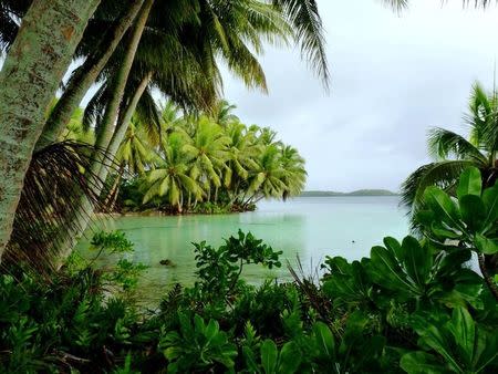 The lagoon from Strawn Island of Palmyra Atoll, part of the Pacific Remote Islands Marine National Monument in the Pacific Ocean south of Hawaii, US in this 2010 handout photo obtained by Reuters September 27, 2017. Laura M. Beauregard/U.S. Fish and Wildlife Service/Handout via REUTERS