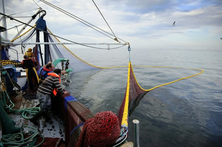 Factory fishing has emptied the seas of 40 percent of sea life, and nine out of ten fisheries in the world are either over- or full-fished today