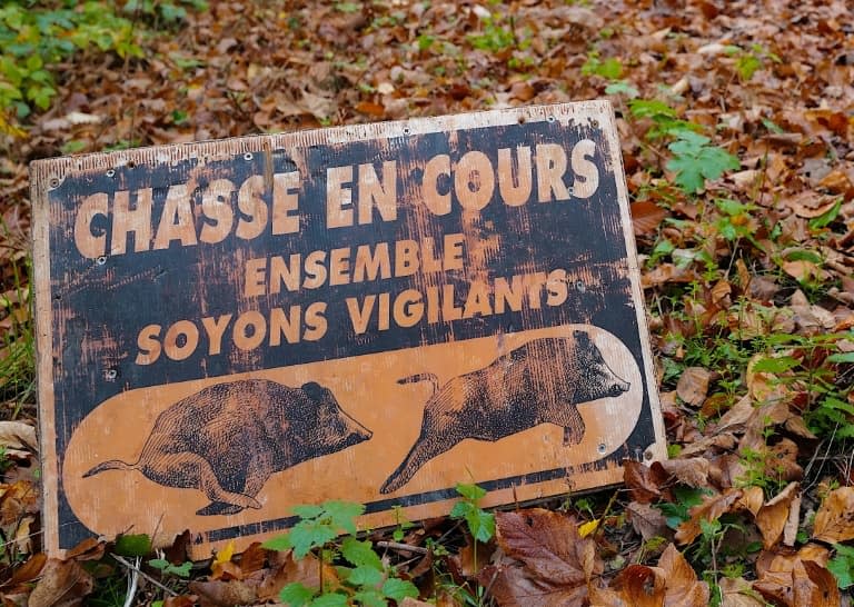 Un homme de 25 ans a été tué accidentellement mercredi près du village de Calvignac (Lot), par un tir provenant d'un groupe de chasseurs qui effectuaient une battue au sanglier - SEBASTIEN BOZON © 2019 AFP