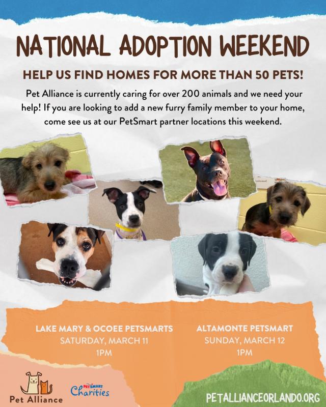 National Adoption Weekend kicks off at PetSmart