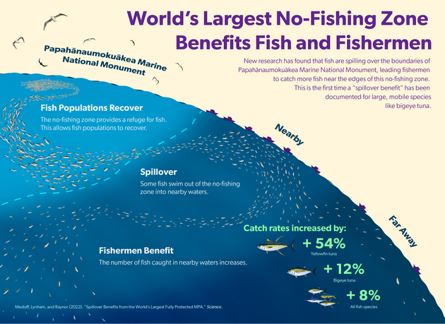 “The data is literally being collected on board the fishing boats,” said study co-author John Lynham, a professor at the University of Hawaiʻi at Mānoa. (Photo: Medoff, Lynham and Raynor/Science)