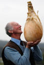 HARROGATE, ENGLAND - SEPTEMBER 16: Gardener Peter Glazebrook poses for photographers with his world record breaking onion at The Harrogate Autumn Flower Show on September 16, 2011 in Harrogate, England. Peter Glazebrook from Newark, Nottinghamshire claimed a Guinness World Record with his giant onion weighing 8.150kg. (Photo by Christopher Furlong/Getty Images)