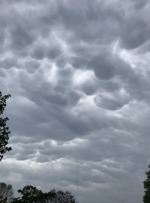 Mammatus clouds over Fort Frances, ON. Taken June 4, 2019. (Anika Beaudry/TWN)