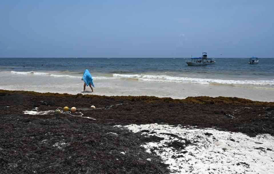 Foto: RODRIGO ARANGUA/AFP/Getty Images