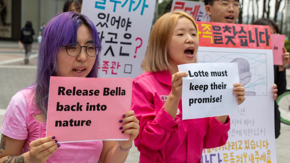 The group has been leading the charge in calling for Bella's freedom from Lotte World Aquarium. - Charlie Miller/CNN