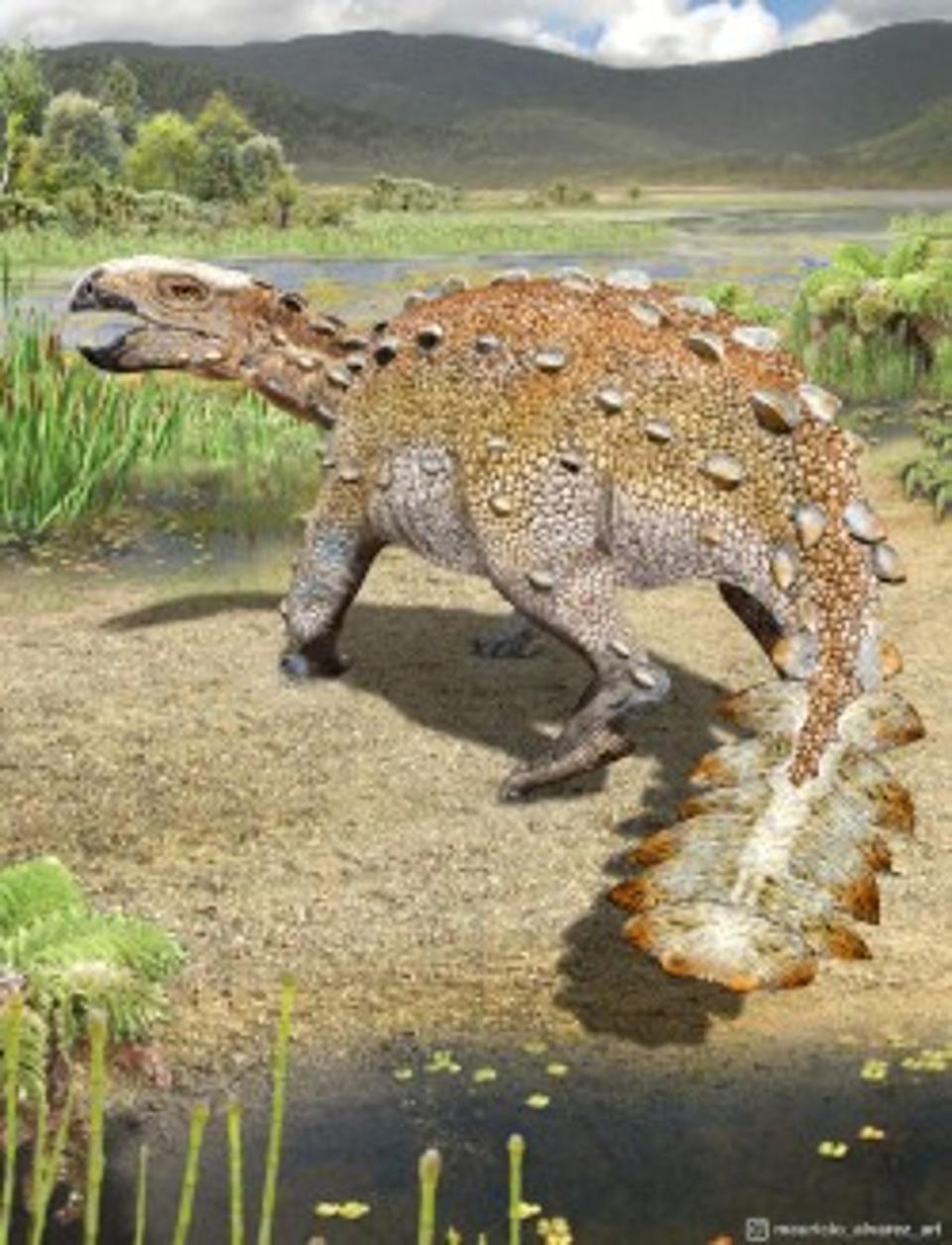 Life appearance and environment of the new species of armoured dinosaur Stegouros elengassen (Mauricio Álvarez)