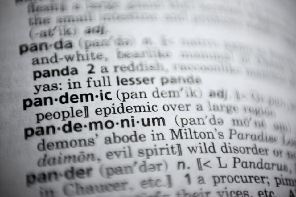 The word "pandemic" was the most searched word at merriam-webster.com in 2020. The coronavirus has many previously unfamiliar words common parts of our daily conversations.