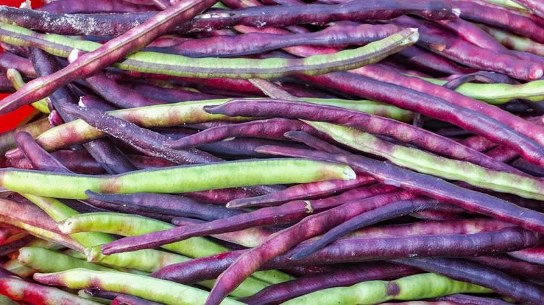 Close-up of a pile of green and purple bean pods