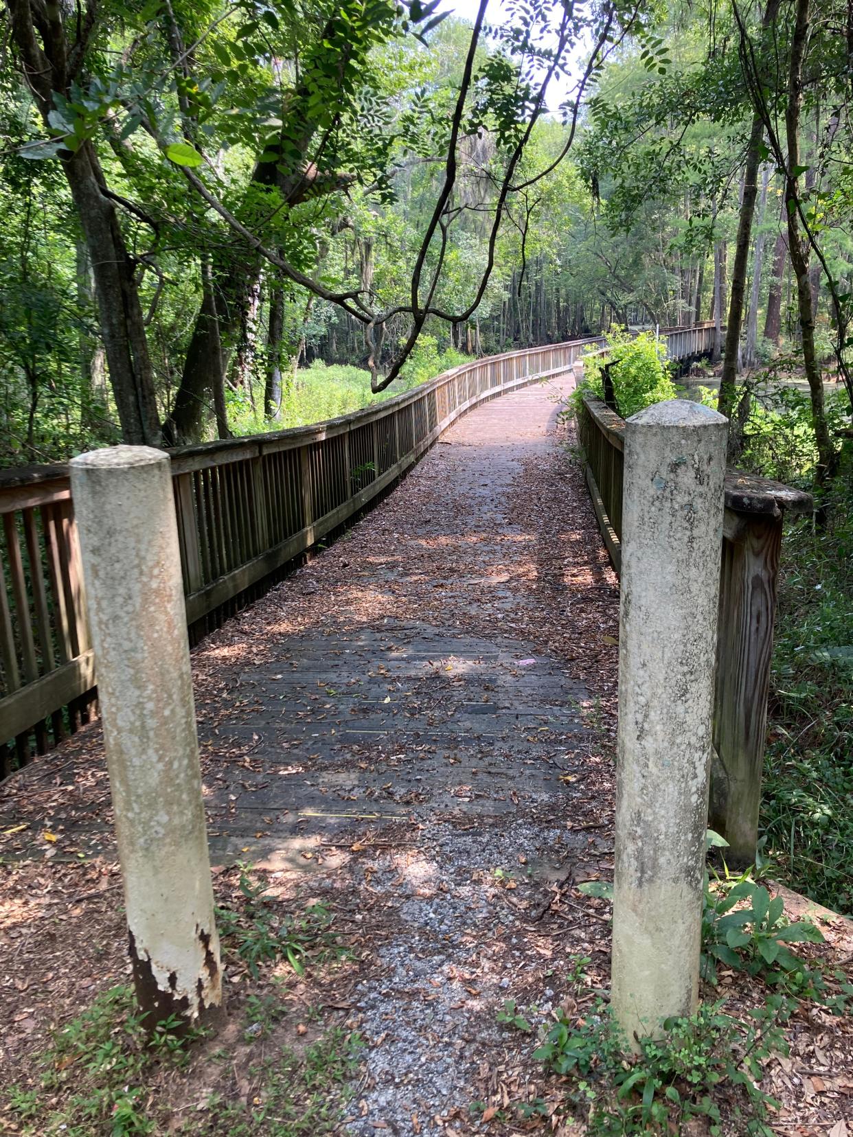 Trail head at Ogeechee Canal section accessible from Little Neck Road. The trail can accommodate cyclists and pedestrians.