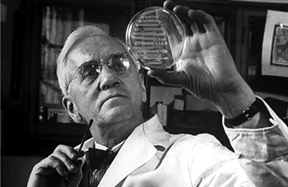 Sir Alexander Fleming petri dish