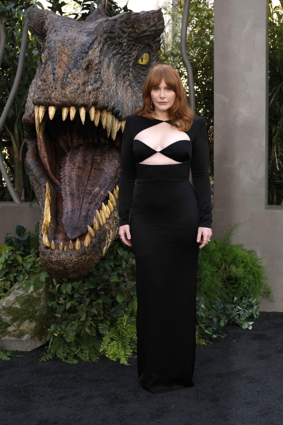 Bryce Dallas Howard