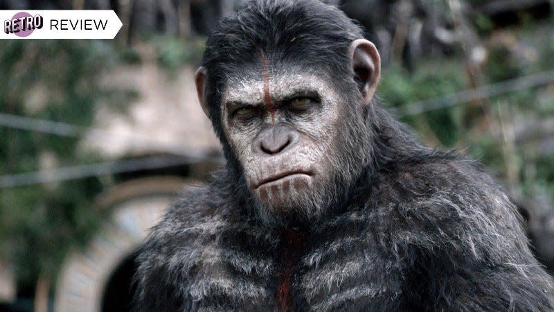 Andy Serkis as Caesar in Dawn of the Planet of the Apes. - Image: Fox