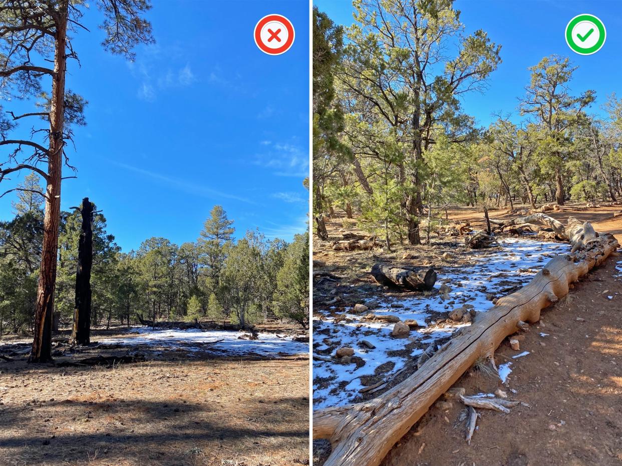 An Insider reporter's phone photos from a hike in Arizona show how to use a National Geographic photographer's tips.