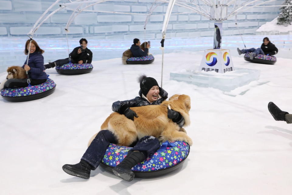 Experience winter joy as visitors and their furry friends can glide down the 5-lane Mini Ice Slide, savour moments on Singapore’s first Merry-Go-Round on Ice, and skate hand-in-paw on the 300sqm Ice Rink