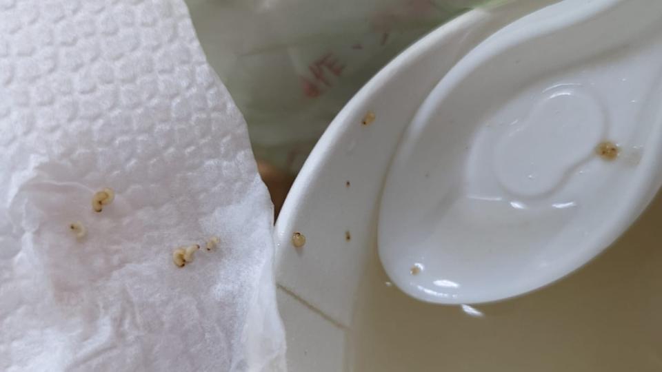 網友推測是店家的胡椒粉受潮才會長蟲。（圖／翻攝自爆料公社公開版）