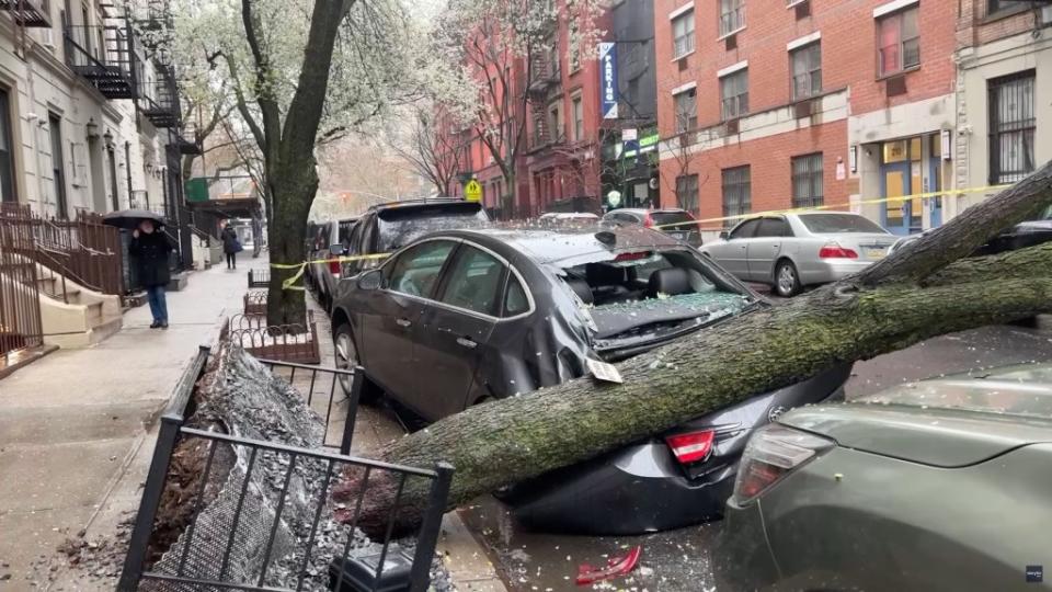 A car was crushed by a downed tree in the Upper West Side. Maris via Storyful