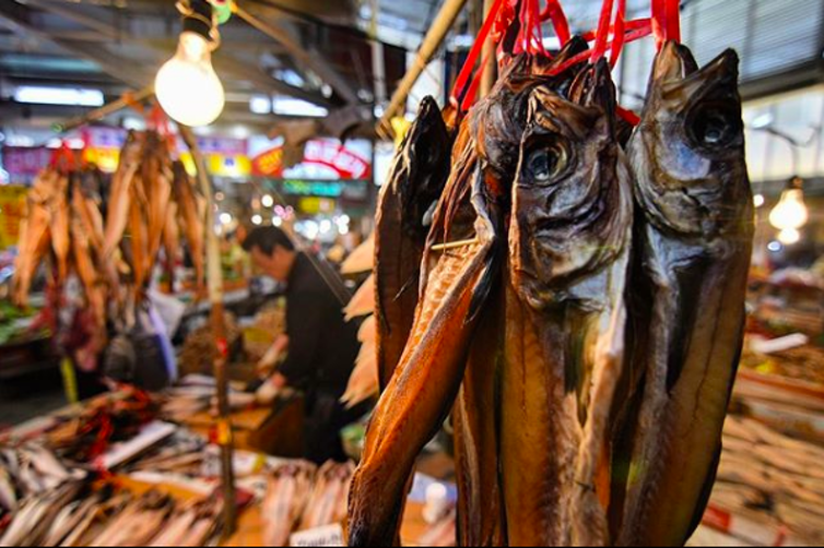 <span class="caption">A fish market in Seoul, South Korea.</span> <span class="attribution"><span class="source">Rodrigo Oyanedel</span>, <span class="license">Author provided</span></span>